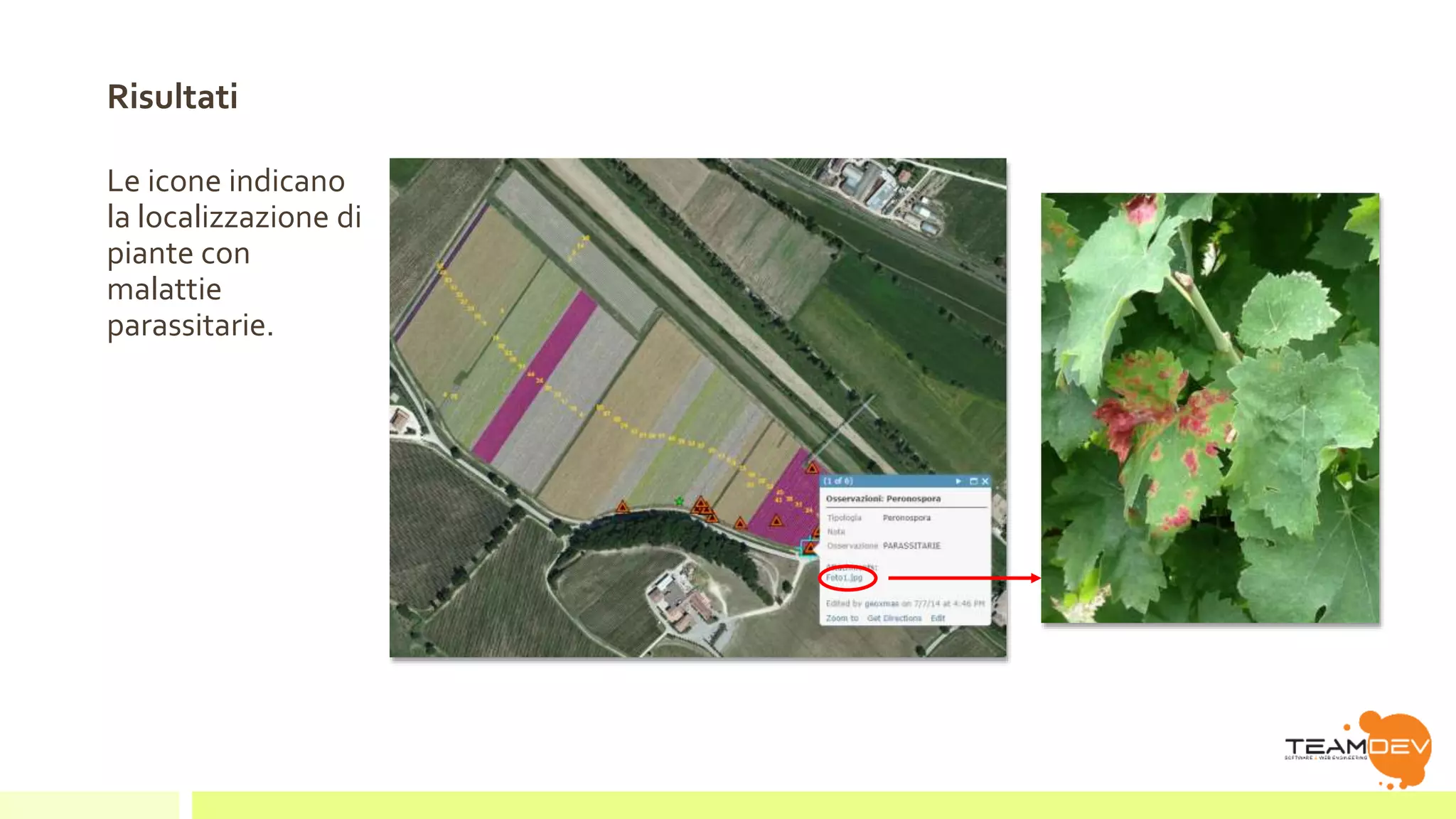 Risultati 
Le icone indicano 
la localizzazione di 
piante con 
malattie 
parassitarie. 
 