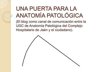 UNA PUERTA PARA LA
ANATOMÍA PATOLÓGICA
(El blog como canal de comunicación entre la
UGC de Anatomía Patológica del Complejo
Hospitalario de Jaén y el ciudadano).
 
