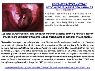 lunes 25 de julio de 2011
BRITÁNICOS EXPERIMENTAN
MEZCLANDO HUMANOS CON ANIMALES
Científicos del Reino Unido han creado en
secreto unos 150 embriones humano-
animales. Esta información ha sido revelada
por el periódico Daily Mail y ha causado una
reacción inmediata en la sociedad.
Los seres experimentales, que contienen material genético animal y humano, fueron
creados para investigar diferentes vías de tratamiento de distintas enfermedades.
“Pero si hubo un pecado, más que otro, que hizo necesaria la destrucción de la raza humana
por medio del diluvio, fue el vil crimen de la amalgamación del hombre y la bestia, lo cual
deformó la imagen de Dios y causó la confusión en todas partes. Dios decidió destruir esa raza
poderosa y longeva que había corrompido sus caminos delante de él..."Todas las especies de
animales que Dios había creado fueron preservadas en el arca. Las especies mezcladas que
Dios no creó, y que fueron el resultado de la amalgamación de hombres y bestias, como puede
verse en las casi innumerables especies de animales y en ciertas razas de hombres" (Spiritual
Gifts [Dones espirituales], t. 3, pp. 64, 75).” Mensajes Selectos tomo 3 capítulo 57.
http://diario-de-alas97.blogspot.com/2011/07/britanicos-experimentan-mezclando.html
 