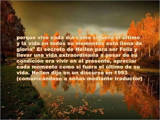 Una reflexion sobre la felicidad