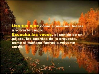 Una reflexion sobre la felicidad