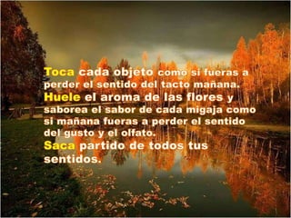 Una reflexion sobre la felicidad