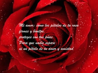 Mi amor; como los pétalos de tu rosa
     firmes y bonitos,
     proteges con tus púas.
     Para que nadie separe
Una Rosa De Tude tu amor y amistad
     ni un pétalo Amistad
 