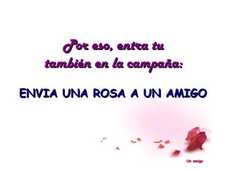 Por eso, entra tu
   también en la campaña:
ENVIA UNA ROSA A UN AMIGO




                            Un amigo
 