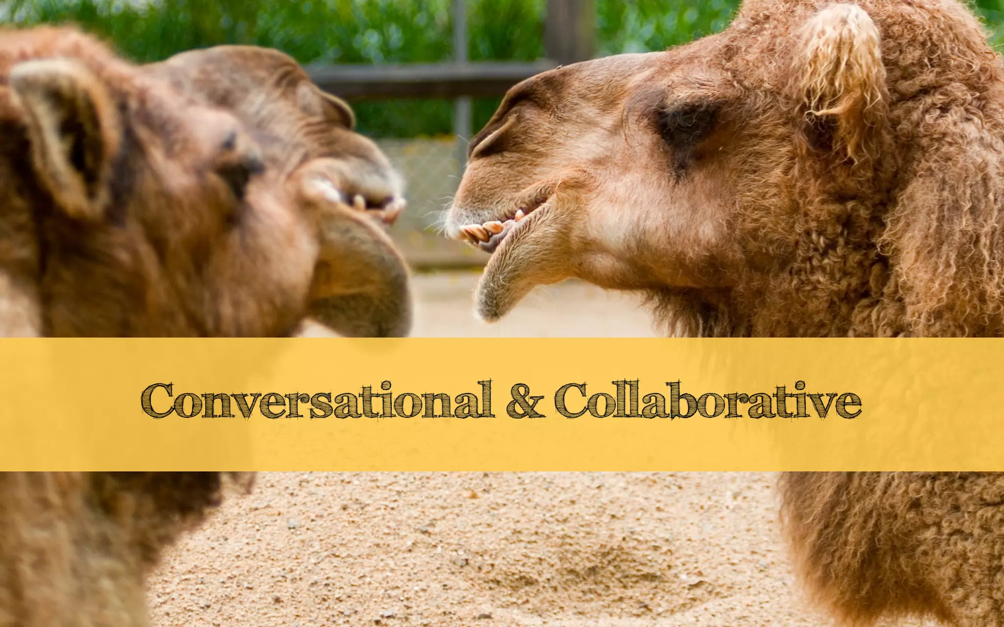 Conversational & Collaborative
 