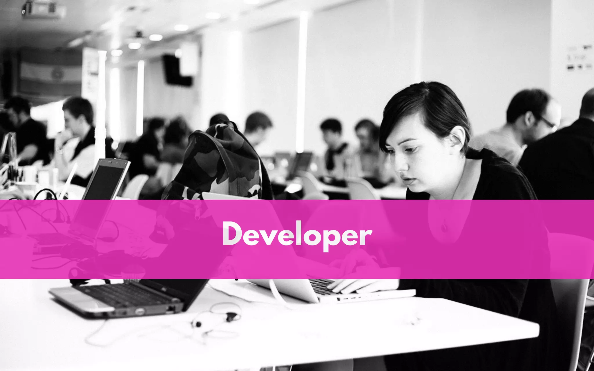 Developer
 