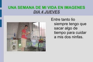 UNA SEMANA DE MI VIDA EN IMAGENES   DIA 4 JUEVES Entre tanto lio siempre tengo que sacar algo de tiempo para cuidar a mis dos ninfas. 