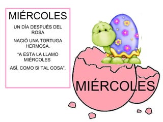 MIÉRCOLES
 UN DÍA DESPUÉS DEL
        ROSA
 NACIÓ UNA TORTUGA
     HERMOSA.
   “A ESTA LA LLAMO
      MIÉRCOLES
ASÍ, COMO SI TAL COSA”.



                          MIÉRCOLES
 