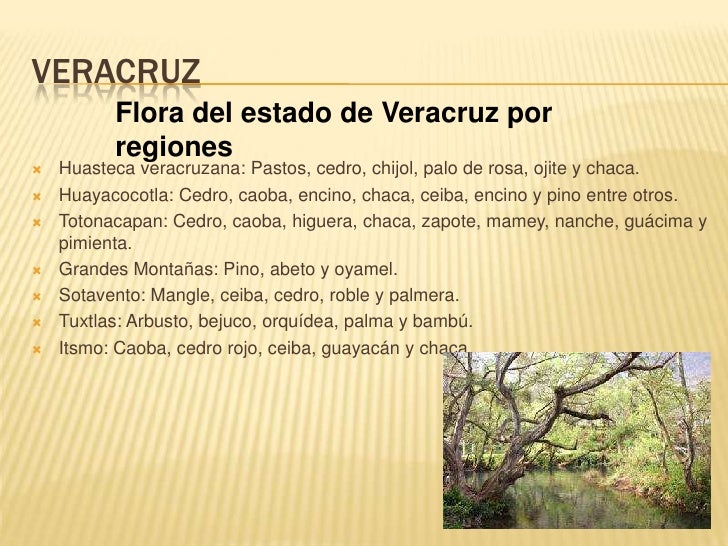 Una semana para conocer México: Veracruz