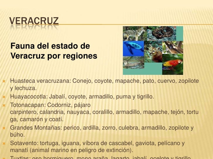 Una semana para conocer México: Veracruz