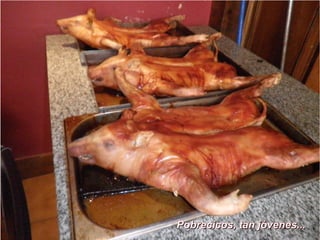 Pobrecicos, tan jóvenes...Pobrecicos, tan jóvenes...
 