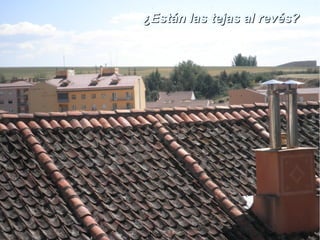 ¿Están las tejas al revés?¿Están las tejas al revés?
 