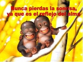 Nunca pierdas la sonrisa, ya que es el reflejo del alma