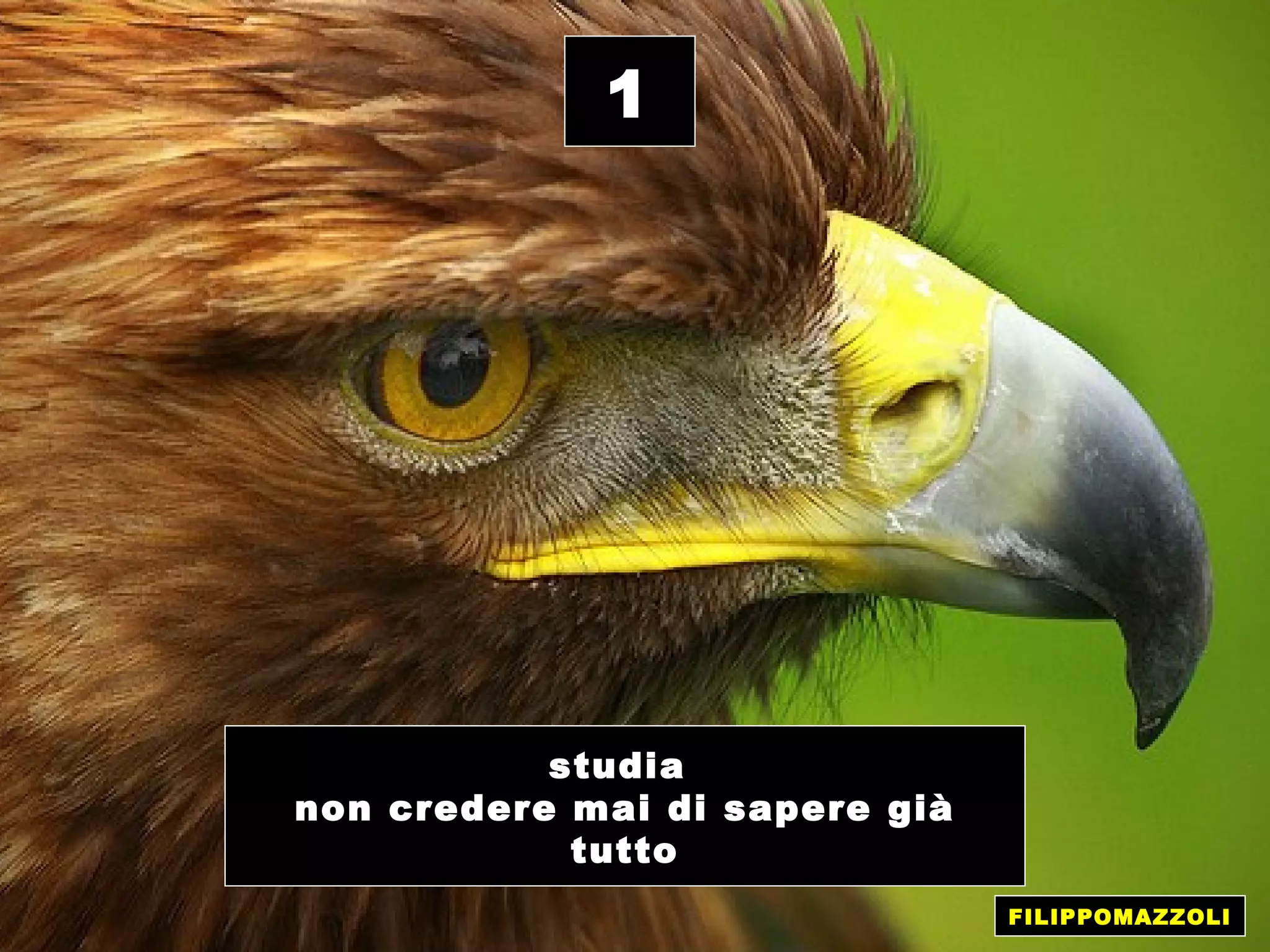 1




           studia
non credere mai di sapere già
            tutto
                                FILIPPOMAZZOLI
 