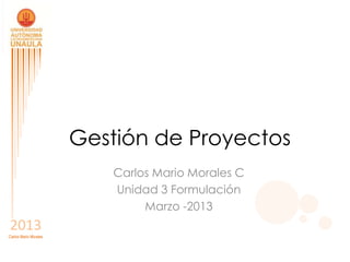 Gestión de Proyectos
                          Carlos Mario Morales C
                          Unidad 3 Formulación
                               Marzo -2013
2013
Carlos Mario Morales
 
