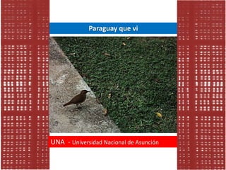 una
Paraguay que vi
UNA - Universidad Nacional de Asunción
 