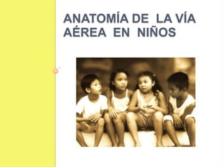 Anatomía de  la vía  aérea  en  niños 