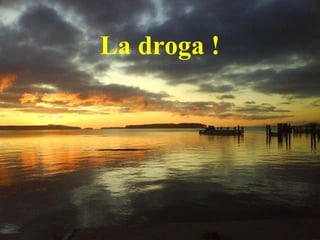 La droga ! 