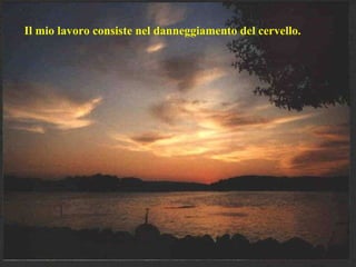 Il mio lavoro consiste nel danneggiamento del cervello. 