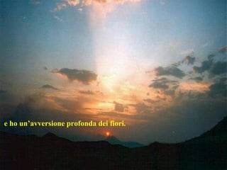 e ho un’avversione profonda dei fiori.  