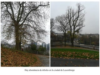 Una visita a luxemburgo