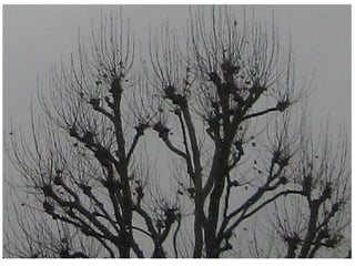 Una visita a luxemburgo