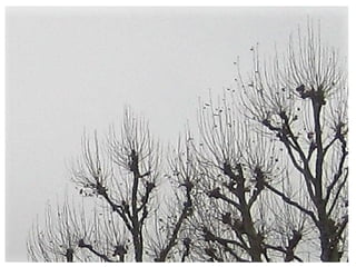 Una visita a luxemburgo