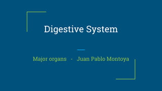 Digestive System
Major organs - Juan Pablo Montoya
 