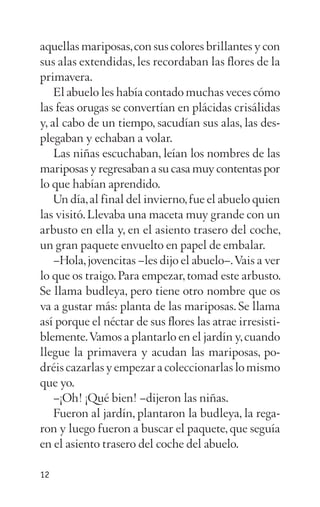 aquellas mariposas,con sus colores brillantes y con
sus alas extendidas, les recordaban las flores de la
primavera.
El abuelo les había contado muchas veces cómo
las feas orugas se convertían en plácidas crisálidas
y, al cabo de un tiempo, sacudían sus alas, las des­
plegaban y echaban a volar.
Las niñas escuchaban, leían los nombres de las
mariposas y regresaban a su casa muy contentas por
lo que habían aprendido.
Un día,al final del invierno,fue el abuelo quien
las visitó.Llevaba una maceta muy grande con un
arbusto en ella y, en el asiento trasero del coche,
un gran paquete envuelto en papel de embalar.
–Hola,jovencitas –les dijo el abuelo–.Vais a ver
lo que os traigo.Para empezar, tomad este arbusto.
Se llama budleya, pero tiene otro nombre que os
va a gustar más: planta de las mariposas. Se llama
así porque el néctar de sus flores las atrae irresisti­
blemente.Vamos a plantarlo en el jardín y,cuando
llegue la primavera y acudan las mariposas, po­
dréiscazarlasyempezaracoleccionarlaslomismo
que yo.
–¡Oh! ¡Qué bien! –dijeron las niñas.
Fueron al jardín, plantaron la budleya, la rega­
ron y luego fueron a buscar el paquete, que seguía
en el asiento trasero del coche del abuelo.
12
 