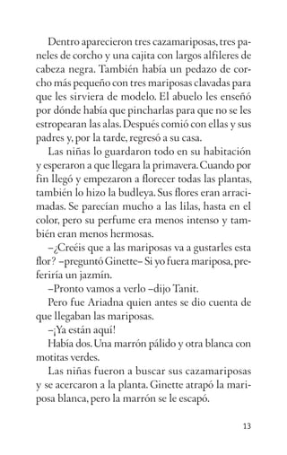 Dentro aparecieron tres cazamariposas,tres pa­
neles de corcho y una cajita con largos alfileres de
cabeza negra. También había un pedazo de cor­
cho más pequeño con tres mariposas clavadas para
que les sirviera de modelo. El abuelo les enseñó
por dónde había que pincharlas para que no se les
estropearan las alas.Después comió con ellas y sus
padres y, por la tarde, regresó a su casa.
Las niñas lo guardaron todo en su habitación
y esperaron a que llegara la primavera.Cuando por
fin llegó y empezaron a florecer todas las plantas,
también lo hizo la budleya. Sus flores eran arraci­
madas. Se parecían mucho a las lilas, hasta en el
color, pero su perfume era menos intenso y tam­
bién eran menos hermosas.
–¿Creéis que a las mariposas va a gustarles esta
flor? –preguntó Ginette– Si yo fuera mariposa,pre­
feriría un jazmín.
–Pronto vamos a verlo –dijo Tanit.
Pero fue Ariadna quien antes se dio cuenta de
que llegaban las mariposas.
–¡Ya están aquí!
Había dos.Una marrón pálido y otra blanca con
motitas verdes.
Las niñas fueron a buscar sus cazamariposas
y se acercaron a la planta. Ginette atrapó la mari­
posa blanca, pero la marrón se le escapó.
13
 
