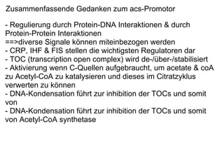 Zusammenfassende Gedanken zum acs-Promotor - Regulierung durch Protein-DNA Interaktionen & durch Protein-Protein Interaktionen ==>diverse Signale können miteinbezogen werden - CRP, IHF & FIS stellen die wichtigsten Regulatoren dar - TOC (transcription open complex) wird de-/über-/stabilisiert - Aktivierung wenn C-Quellen aufgebraucht, um acetate & coA zu Acetyl-CoA zu katalysieren und dieses im Citratzyklus verwerten zu können - DNA-Kondensation führt zur inhibition der TOCs und somit von  - DNA-Kondensation führt zur inhibition der TOCs und somit von Acetyl-CoA synthetase 