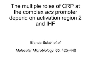 The multiple roles of CRP at the complex  acs  promoter depend on activation region 2 and IHF Bianca Sclavi  et al. Molecular Microbiology ,  65 , 425–440 