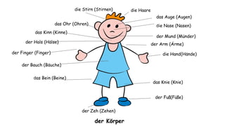 das Ohr (Ohren)
die Haare
das Auge (Augen)
die Nase (Nasen)
der Mund (Münder)
der Hals (Hälse)
die Hand(Hände)der Finger (Finger)
der Bauch (Bäuche)
der Arm (Ärme)
der Fuß(Füße)
das Bein (Beine)
das Knie (Knie)
das Kinn (Kinne)
die Stirn (Stirnen)
der Zeh (Zehen)
der Körper