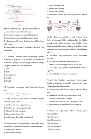 Menurut grafik tersebut dapat disimpulkan bahwa…..
A. enzim akan menentukan arah reaksi
B. jenis enzim sangat memengaruhi kerja enzim
C. enzim akan mempengaruhi kecepatan reaksi
D. Kulaitas produk yangd ihasilkan sangat Ditentukan
oleh enzim
E. enzim akan mengurangi jumlah energi reaksi Yang
diperlukan.
32. Transpor elektron yang berlangsung didalam
mitokondria, prosesnya akan berakhir setelah elektron
H+
bereaksi dengan oksigen yang berfungsi sebagai
akseptor terakhir dan akan membentuk….
A. CO2
B. H2O
C. asam piruvat
D. FADH
E. NADH
33. Perhatikan persamaan reaksi fotosintesis berikut
ini!
X yang dihasilkan pada reaksi fotosintesis tersebut
Terbentuk pada tahap…..
A. fotolisis dari hasil penguraian H2O
B. fotolisis dari hasil penguraian CO2
C. fiksasi CO2 pada saat gelap
D. berlangsung fiksasi CO2
E. reaksi terang dari reaksi gliseraldehid
34. Dalam proses pembuatan tape ketan terjadi proses
fermentasi. Urutan proses fermentasi tersebut adalah….
A. tepung–gula–alcohol
B. gula–alcohol–tepung
C. tepung–alkohol–gula
D. alcohol–gula–tepung
E. gula–tepung–alcohol
35.Perhatikan gambar percobaan Spallanzani berikut
ini!
Gambar diatas menunjukkan wadah tertutup yang
Berisi air saringan kaldu yangdipanaskan. Air Kaldu
tampak jernih dalam beberapa hari. Setelah Tutup
dibuka dan dibiarkanb eberapa lama, air Kaldumen jadi
keruh dan mengandung mikroba. Hal ini membuktikan
bahwa….
A. air kaldu yang dipanaskan belum mematikan
mikroba
B. mikroba dalam air kaldu berasal dari udara
C. air kaldu keruh karena pemanasan terlalu lama.
D. air kaldu yang terbuka dapat berubah menjadi
organisme
E. makhluk hidup berasal dari benda mati
36.Hardy dan Weinberg mengatakan keseimbangan
Gendan genotipe dari generasi ke generasi selalu tetap.
Frekuensi gen berubah apabila…..
A. emigran sama besar dengan imigran pada gen Yang
sama
B. perkawinan individu tidak terjadi secara acak
C. kemungkinan mutasi Aa atau aA
D. viabilitas dan fertilitas AA,Aa, maupun aa sama
E. populasid alam suatu komunitas sangat besar
37.Berikut ini organ-organ tubuh berbagai jenis
makhluk hidup:
(1)kakimanusia
(2)kakidepananjing
(3)sayapburung
(4)sayapkupu-kupu
(5)sayapkelelawar
 