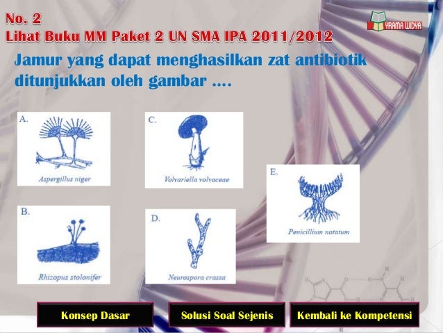 Un Biologi Sma Ok