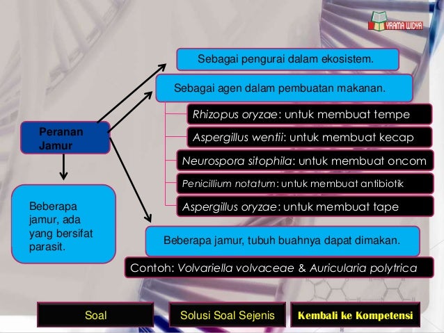 Un Biologi Sma Ok