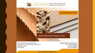 Unbleached Kraft Paper in UAE