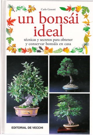320 ideas de Bonsái de alambre  árboles de alambre, bonsai, árbol de  alambre