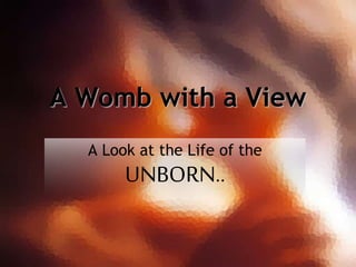 A Womb with a View
A Look at the Life of the
UNBORN..
 