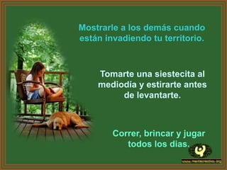 Mostrarle a los demás cuando
están invadiendo tu territorio.



    Tomarte una siestecita al
    mediodía y estirarte antes
         de levantarte.



        Correr, brincar y jugar
           todos los dias.
 