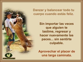 Danzar y balancear todo tu
cuerpo cuando estás feliz.


    Sin importar las veces
        que alguien te
      lastime, regresar y
    hacer nuevamente las
     paces... sin sentirte
           culpable.

   Aprovechar el placer de
    una larga caminata.
 