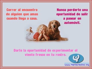 Correr al encuentro
de alguien que amas
cuando llega a casa.
Nunca perderte una
oportunidad de salir
a pasear en
automóvil.
Darte la oportunidad de experimentar el
viento fresco en tu rostro.
 