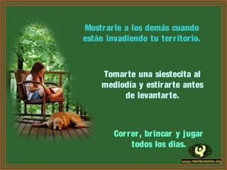 Mostrarle a los demás cuando
están invadiendo tu territorio.
Tomarte una siestecita al
mediodía y estirarte antes
de levantarte.
Correr, brincar y jugar
todos los dias.
 