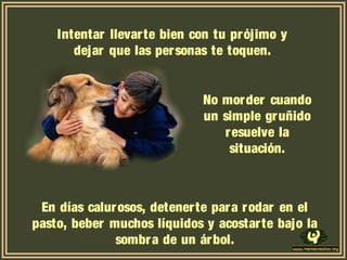 Intentar llevarte bien con tu prójimo y
dejar que las personas te toquen.
No morder cuando
un simple gruñido
resuelve la
situación.
En días calurosos, detenerte para rodar en el
pasto, beber muchos líquidos y acostarte bajo la
sombra de un árbol.
 