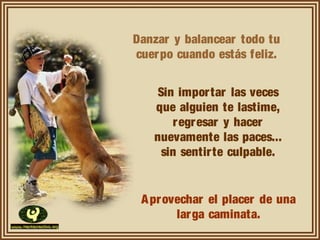 Danzar y balancear todo tu
cuerpo cuando estás feliz.
Sin importar las veces
que alguien te lastime,
regresar y hacer
nuevamente las paces...
sin sentirte culpable.
Aprovechar el placer de una
larga caminata.
 