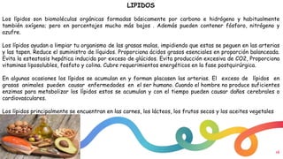 16
LIPIDOS
Los lípidos son biomoléculas orgánicas formadas básicamente por carbono e hidrógeno y habitualmente
también oxígeno; pero en porcentajes mucho más bajos . Además pueden contener fósforo, nitrógeno y
azufre.
Los lípidos ayudan a limpiar tu organismo de las grasas malas, impidiendo que estas se peguen en las arterias
y las tapen. Reduce el suministro de líquidos. Proporciona ácidos grasos esenciales en proporción balanceada.
Evita la esteatosis hepática inducida por exceso de glúcidos. Evita producción excesiva de CO2, Proporciona
vitaminas liposolubles, fosfato y colina. Cubre requerimientos energéticos en la fase postquirúrgica.
En algunas ocasiones los lípidos se acumulan en y forman placasen las arterias. El exceso de lípidos en
grasas animales pueden causar enfermedades en el ser humano. Cuando el hombre no produce suficientes
enzimas para metabolizar los lípidos estos se acumulan y con el tiempo pueden causar daños cerebrales o
cardiovasculares.
Los lípidos principalmente se encuentran en las carnes, los lácteos, los frutos secos y los aceites vegetales
 