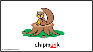 chipmunk
 