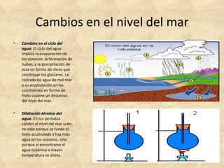 Cambios en el nivel del mar
•   Cambios en el ciclo del
    agua: El ciclo del agua
    agua
    implica la evaporación de
    los océanos, la formación de
    nubes, y la precipitación de
    esta en forma de nieve que
    constituye los glaciares. La
    retirada de agua de mal mar
    y su acumulación en los
    continentes en forma de
    hielo supone un descenso
    del nivel del mar.

•   Dilatación térmica del
    agua. En los períodos
    agua
    cálidos el nivel del mar sube,
    no solo porque se funde el
    hielo acumulado y hay más
    agua en los océanos, sino
    porque al encontrarse el
    agua oceánica a mayor
    temperatura se dilata.
 