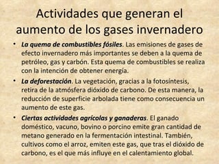 Actividades que generan el
aumento de los gases invernadero
• La quema de combustibles fósiles. Las emisiones de gases de
                              fósiles
  efecto invernadero más importantes se deben a la quema de
  petróleo, gas y carbón. Esta quema de combustibles se realiza
  con la intención de obtener energía.
• La deforestación. La vegetación, gracias a la fotosíntesis,
     deforestación
  retira de la atmósfera dióxido de carbono. De esta manera, la
  reducción de superficie arbolada tiene como consecuencia un
  aumento de este gas.
• Ciertas actividades agrícolas y ganaderas. El ganado
                                  ganaderas
  doméstico, vacuno, bovino o porcino emite gran cantidad de
  metano generado en la fermentación intestinal. También,
  cultivos como el arroz, emiten este gas, que tras el dióxido de
  carbono, es el que más influye en el calentamiento global.
 