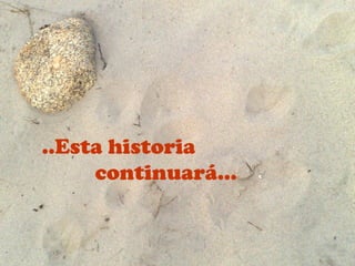 ..Esta historia
     continuará…
 
